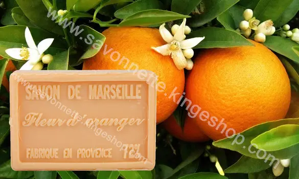 Orange Blossom